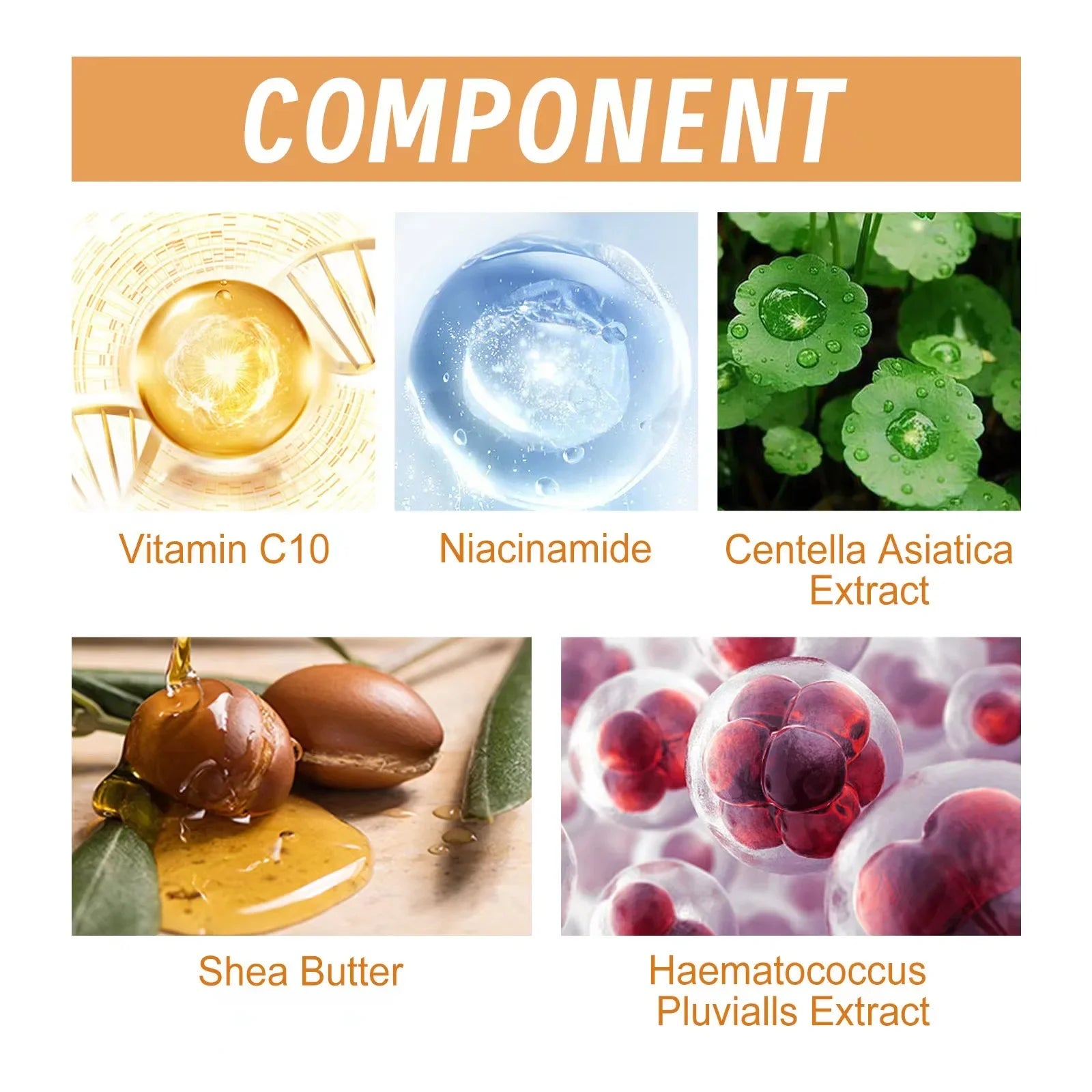 Vitamin C Anti-Aging & Brightening Face Serum